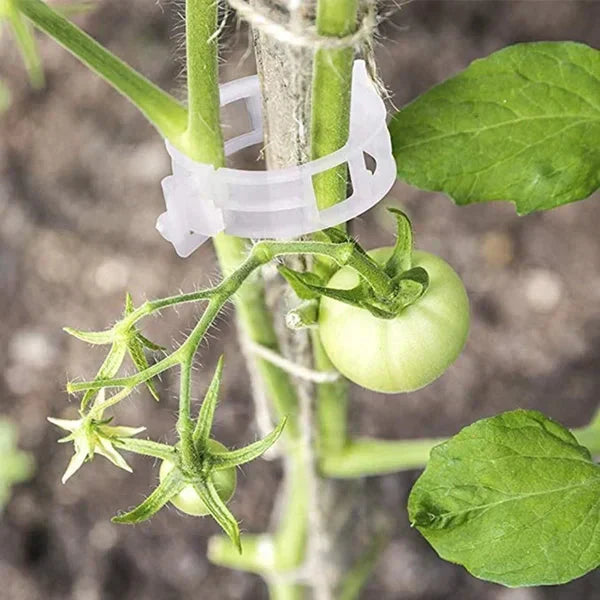 PlantGuard™ | Einfache Stützen für kräftigere, gesündere Pflanzen