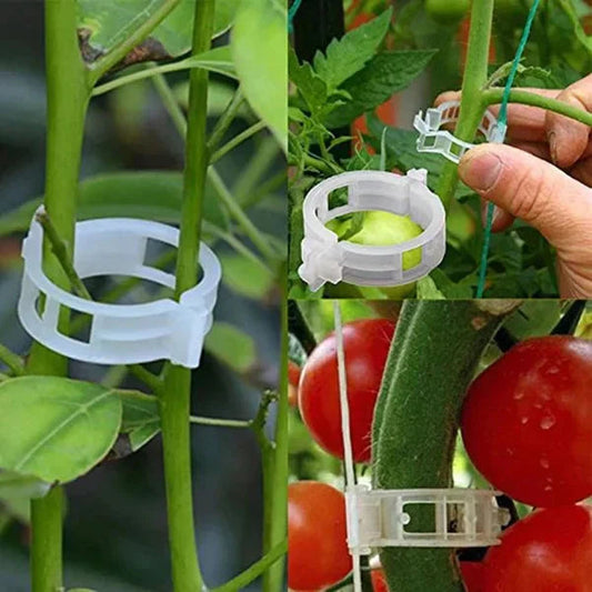 PlantGuard™ | Einfache Stützen für kräftigere, gesündere Pflanzen