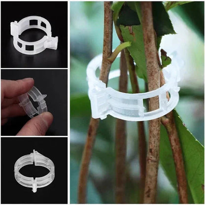 PlantGuard™ | Einfache Stützen für kräftigere, gesündere Pflanzen