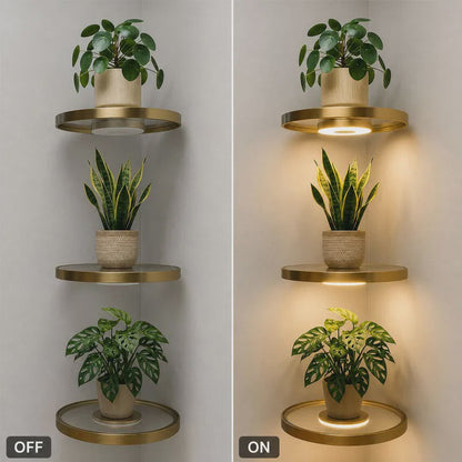 GlowingGold — LED Schwebendes Pflanzen-Wandregal | 50% RABATT