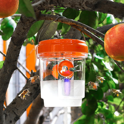 Solarbetriebene Wespenfalle mit LED-Anlockung | 1+1 GRATIS