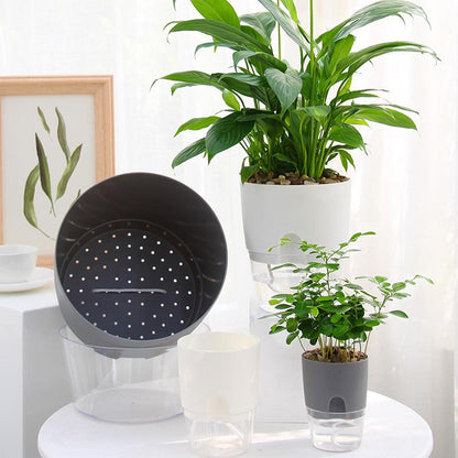 GreenFlow™ | Selbstbewässernder Hydro-Kultur-Blumentopf