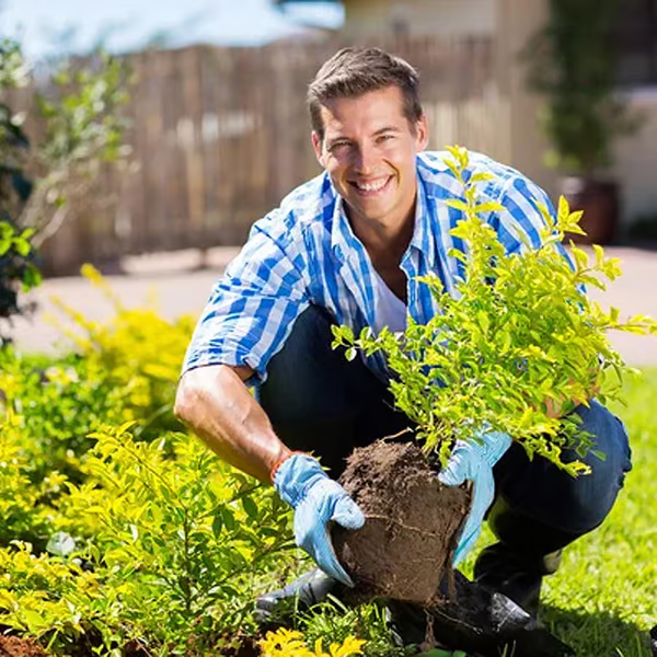 1+1 GRATIS | SoilRevive 120g – Boden Aktivator Pulver