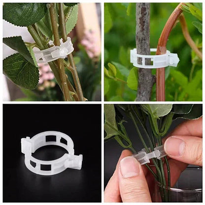 PlantGuard™ | Einfache Stützen für kräftigere, gesündere Pflanzen