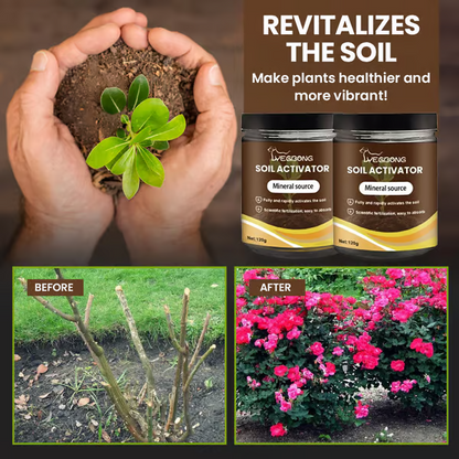 1+1 GRATIS | SoilRevive 120g – Boden Aktivator Pulver