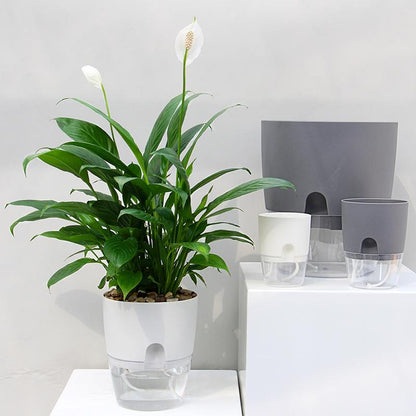 GreenFlow™ | Selbstbewässernder Hydro-Kultur-Blumentopf