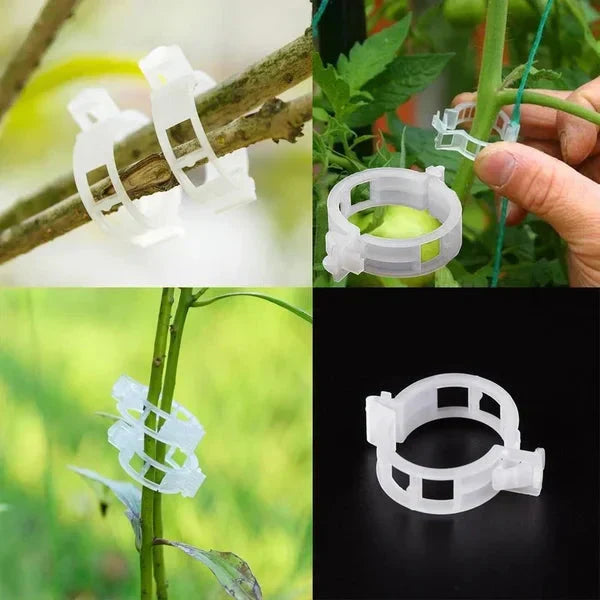 PlantGuard™ | Einfache Stützen für kräftigere, gesündere Pflanzen