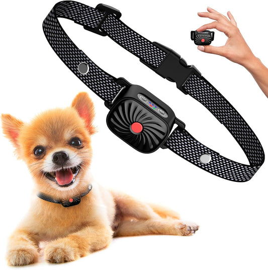 QuietPaw™ - Sanfte, intelligente Bellenkontrolle für ruhige, glückliche Hunde