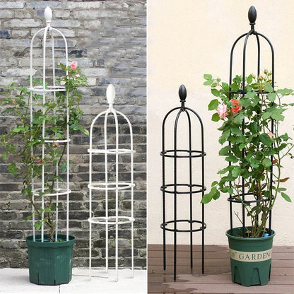 Growliva™ | Rankhilfe – Stabil, dekorativ & ideal für Kletterpflanzen