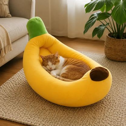Katzenbett in der Anwendung