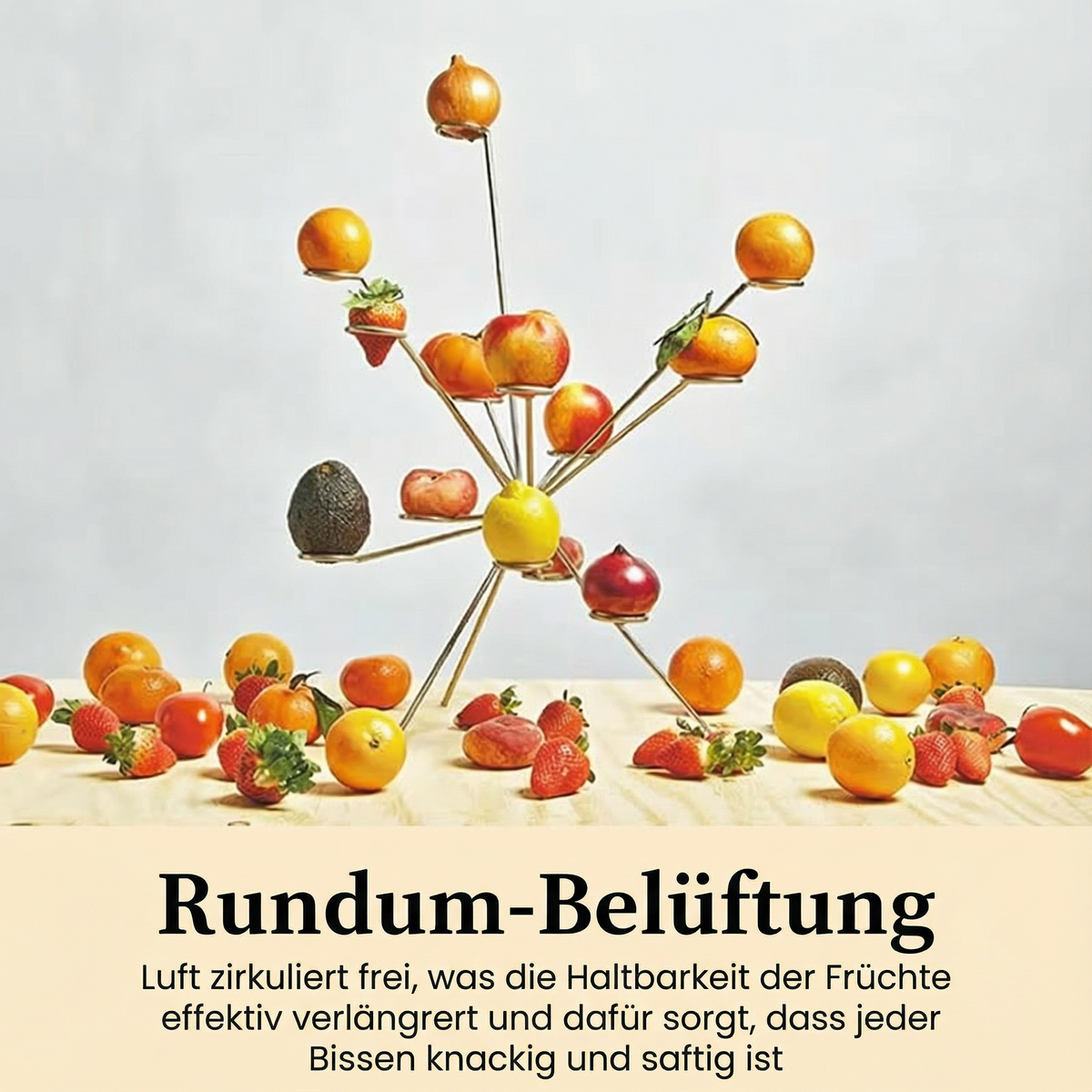 Obstständer Rundum-Belüftung