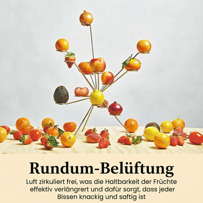 Obstständer Rundum-Belüftung