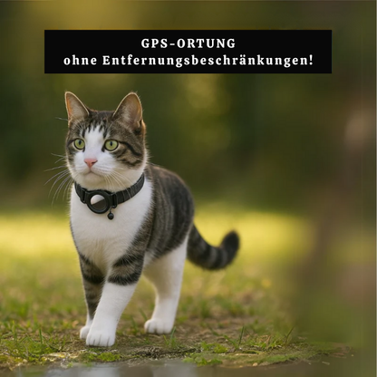 GPS Haustier-Tracker | Echtzeit-GPS & Abo-frei | Sicherheitsschloss