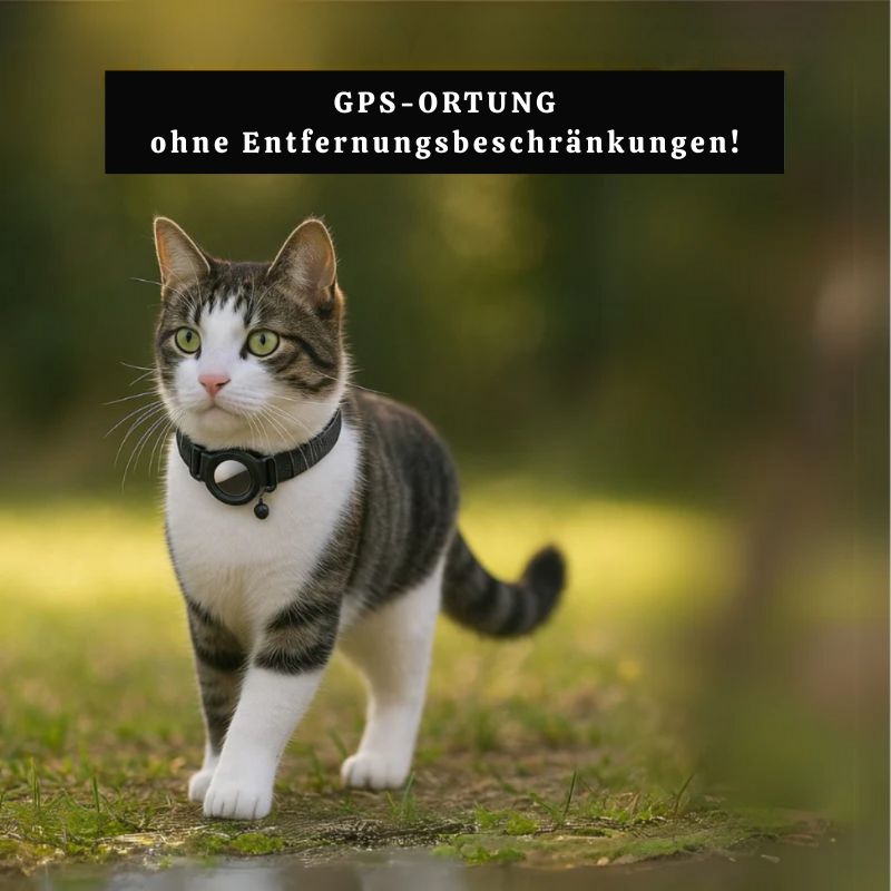 GPS-Tracker Halsband ohne Abo für Haustiere | PawTrack Pro