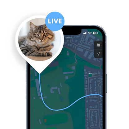 GPS-Tracker Halsband ohne Abo für Haustiere | PawTrack Pro