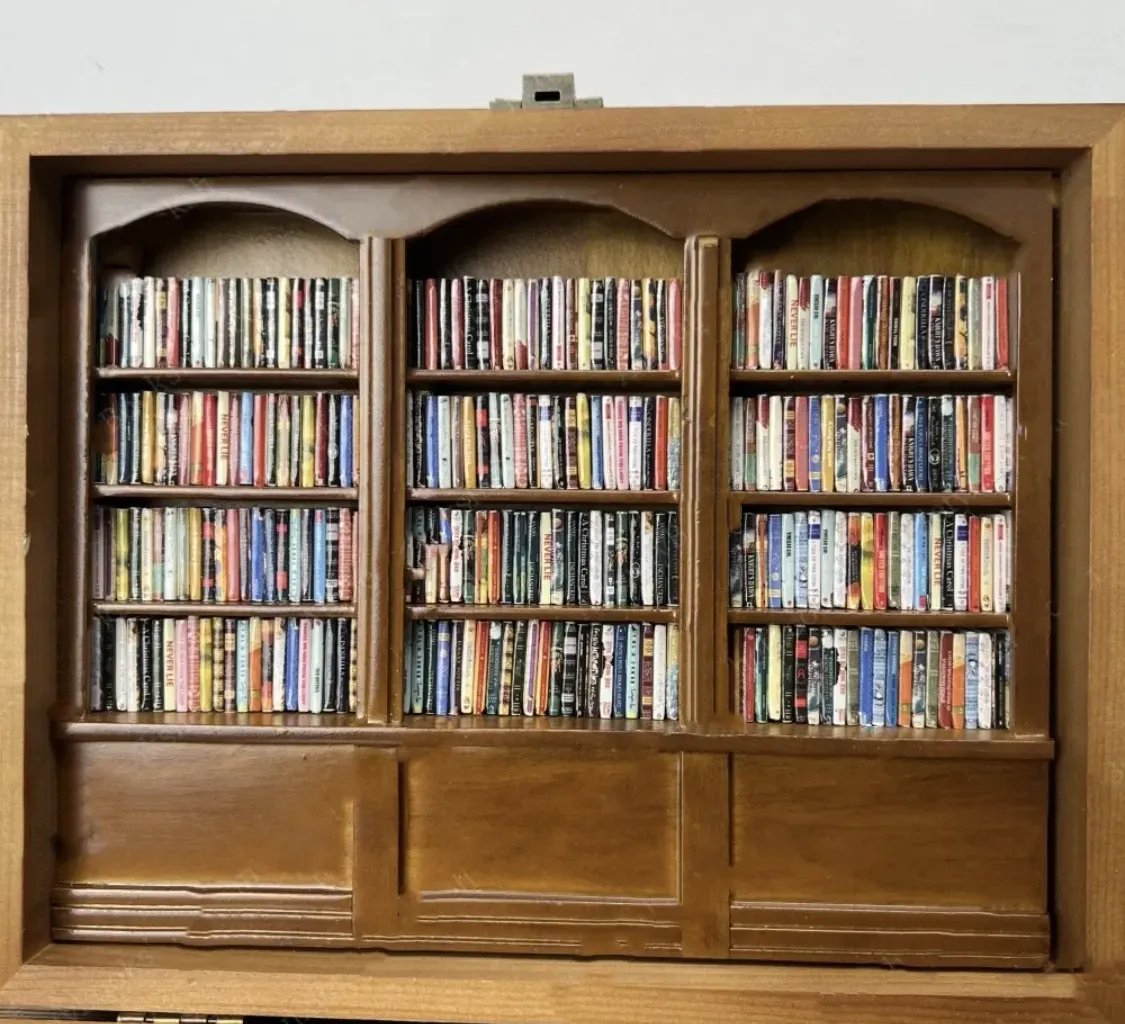 Mini-Bücherregal mit sortierten Mini-Büchern