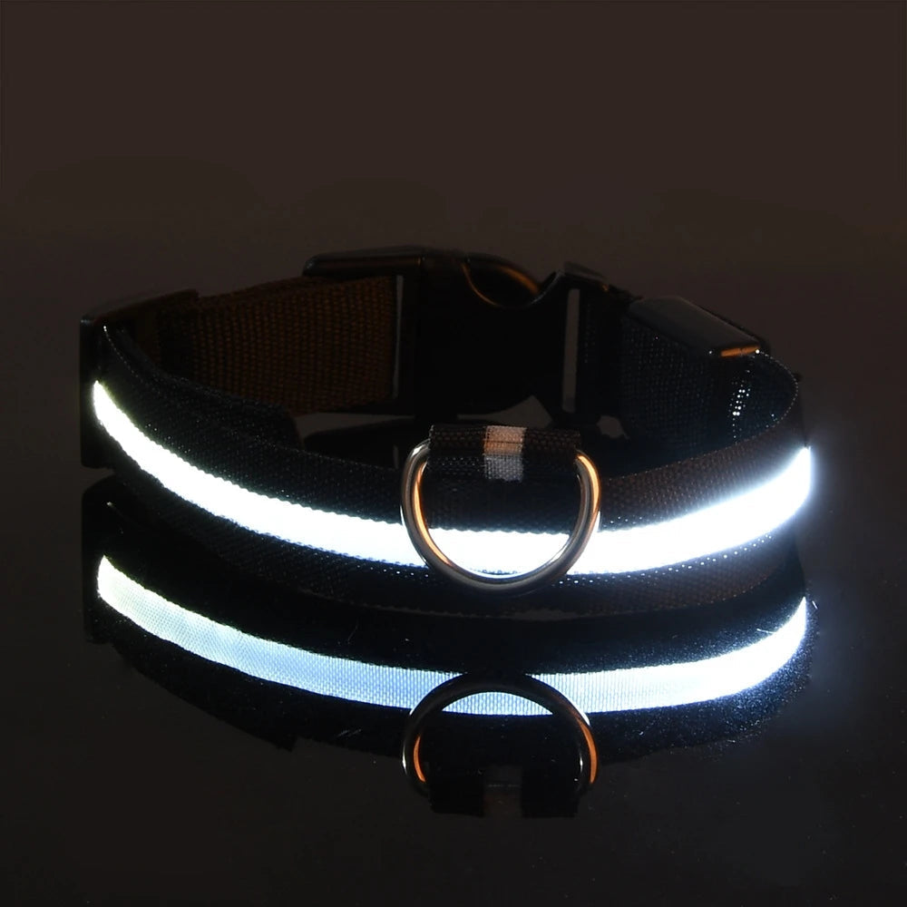 LED-Hundehalsband leuchtend für Nachtspaziergänge