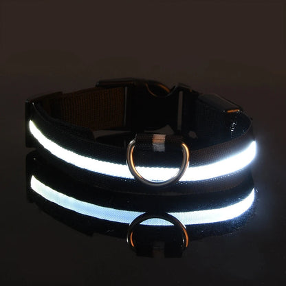 LED-Hundehalsband leuchtend für Nachtspaziergänge