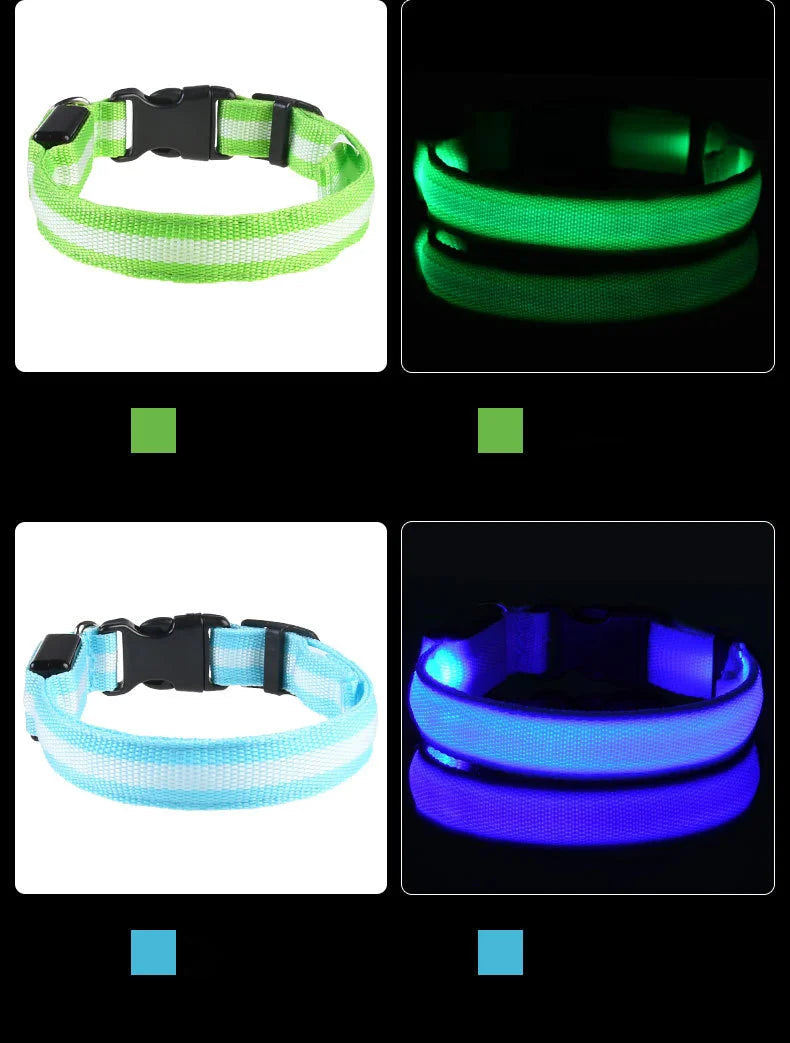 LED-Hundehalsband leuchtend für Nachtspaziergänge