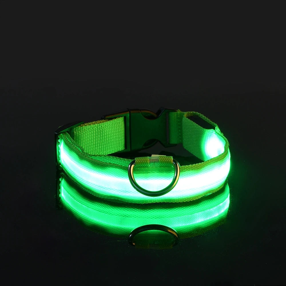 LED-Hundehalsband leuchtend für Nachtspaziergänge