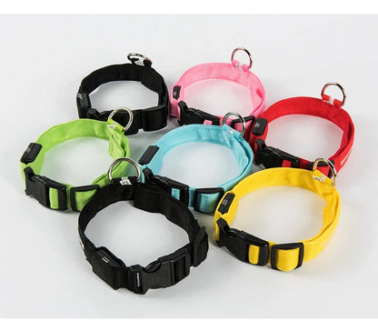 LED-Hundehalsband leuchtend für Nachtspaziergänge