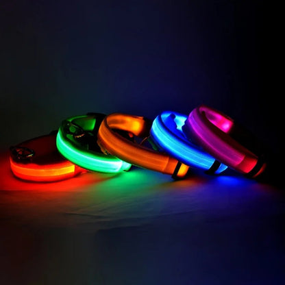 LED-Hundehalsband leuchtend für Nachtspaziergänge