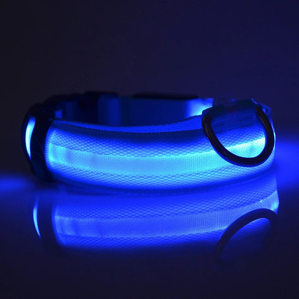 LED-Hundehalsband leuchtend für Nachtspaziergänge
