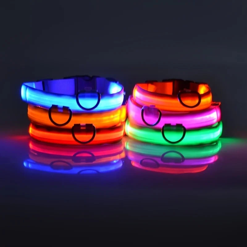 LED-Hundehalsband leuchtend für Nachtspaziergänge
