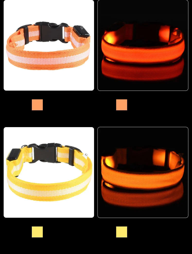 LED-Hundehalsband leuchtend für Nachtspaziergänge