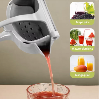 Edelstahl Fruchtpresse | Mühelos Frisch Saft