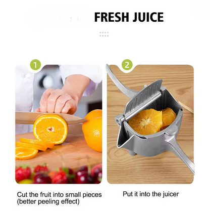 Edelstahl Fruchtpresse | Mühelos Frisch Saft