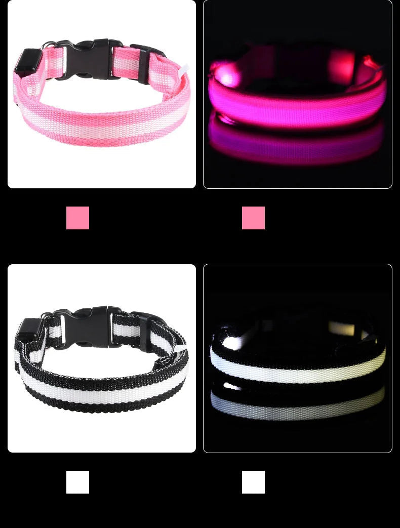 LED-Hundehalsband leuchtend für Nachtspaziergänge