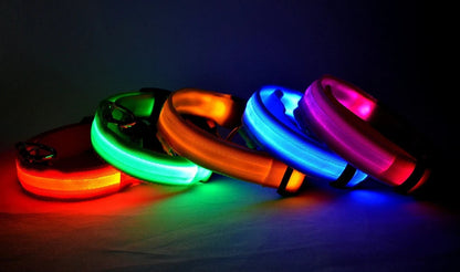 LED-Hundehalsband leuchtend für Nachtspaziergänge