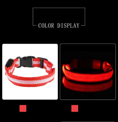 LED-Hundehalsband leuchtend für Nachtspaziergänge