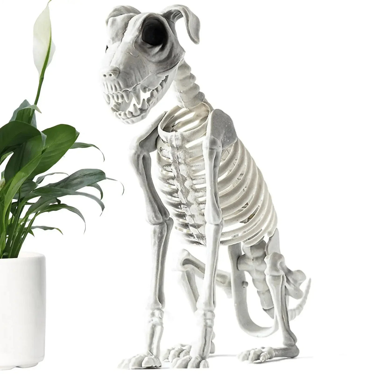 Halloween Skelett Hund Dekoration wetterfest 44 cm