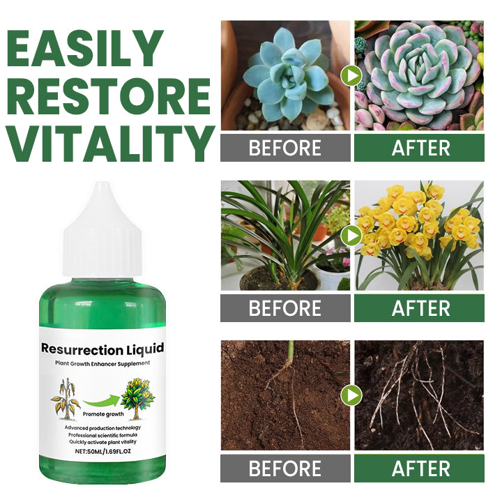PlantVitaal™ – Erwecke deine Pflanzen mit Resurrection Liquid zu neuem Leben! | 1+1 GRATIS
