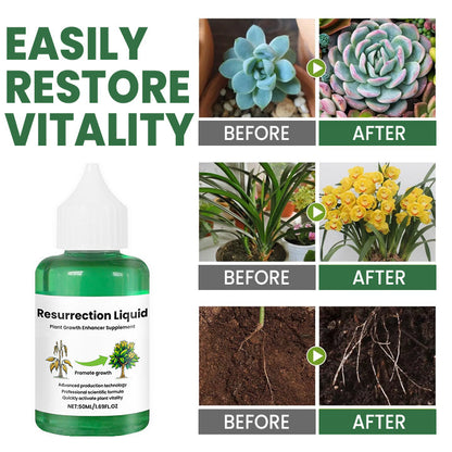 PlantVitaal™ – Erwecke deine Pflanzen mit Resurrection Liquid zu neuem Leben! | 1+1 GRATIS