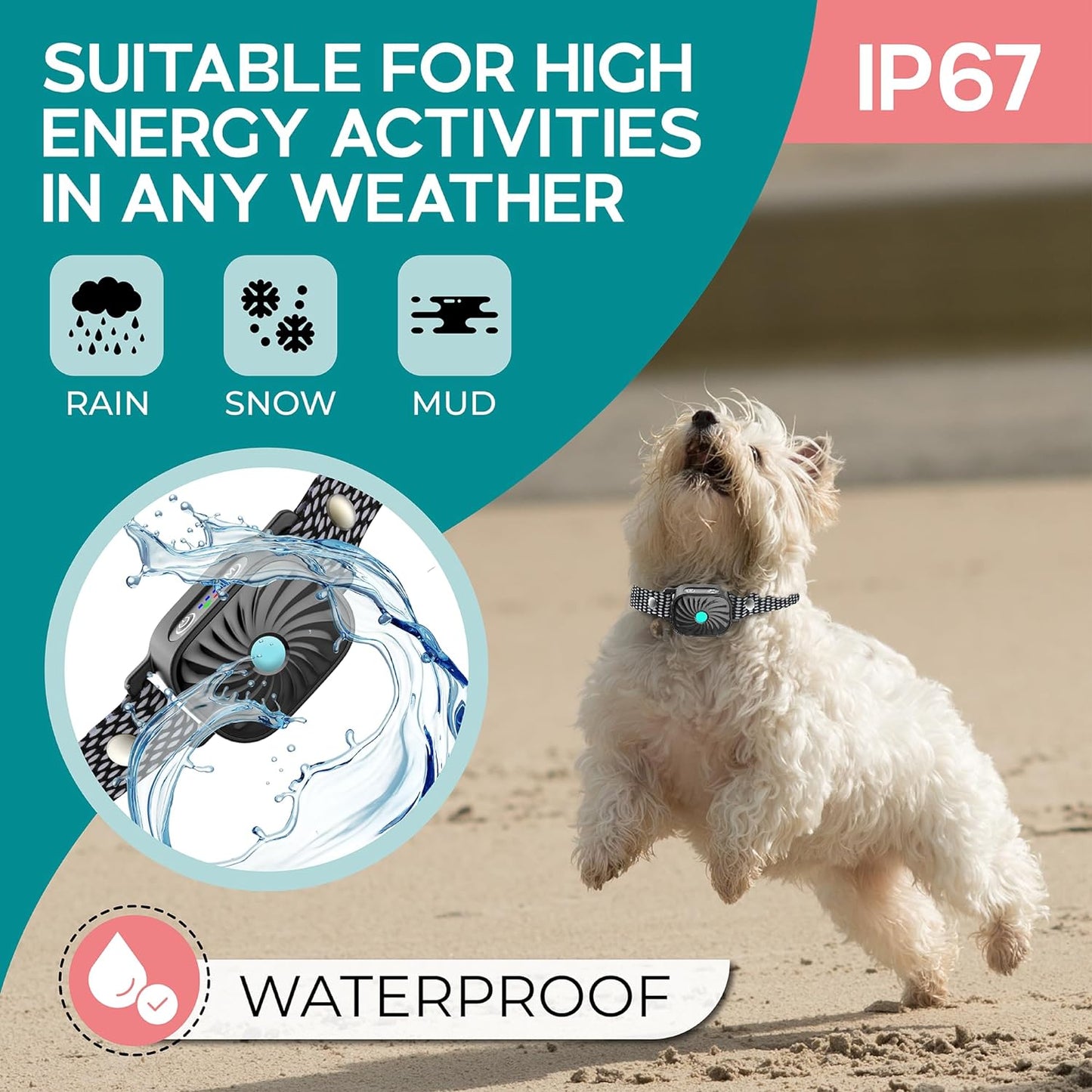 QuietPaw™ - Sanfte, intelligente Bellenkontrolle für ruhige, glückliche Hunde