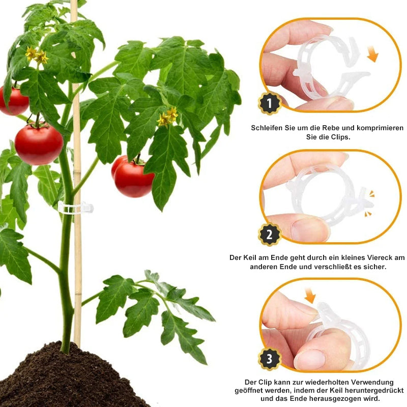 PlantGuard™ | Einfache Stützen für kräftigere, gesündere Pflanzen