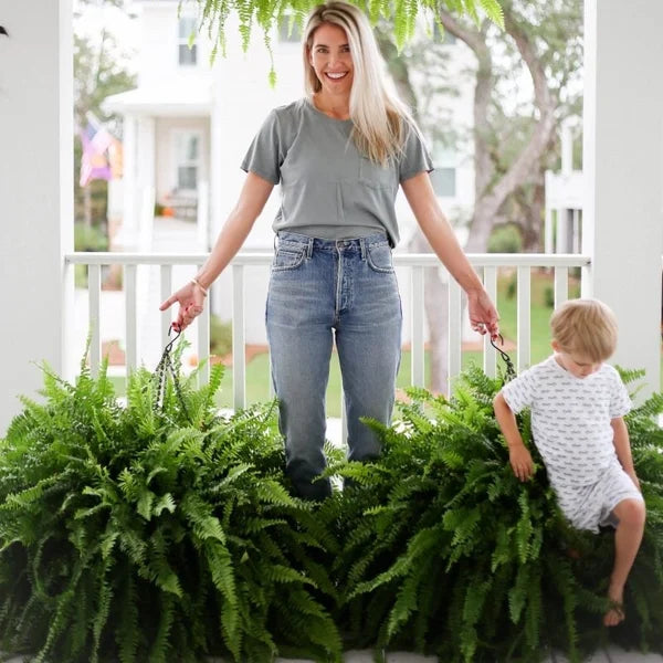 EverFern™ | Künstlicher Farn – UV-beständige Kunst-Pflanze für Innen & Außen