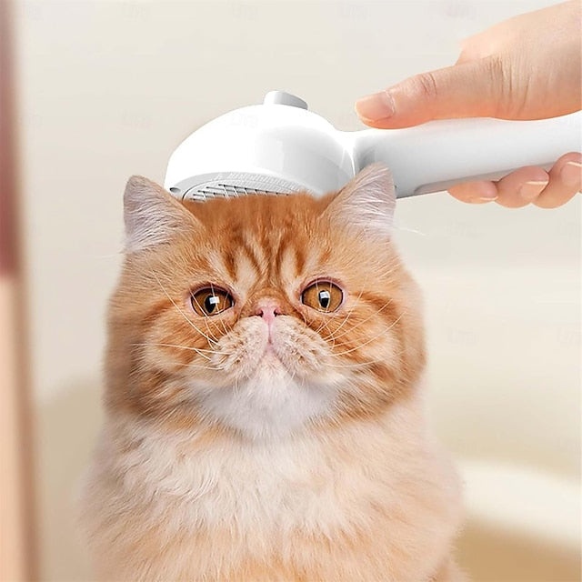 Jetzt sichern – 50 % Rabatt auf PetGlow™