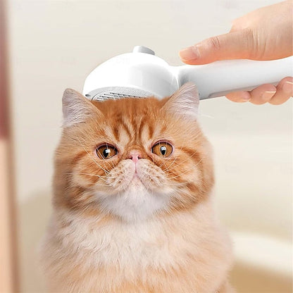 Jetzt sichern – 50 % Rabatt auf PetGlow™