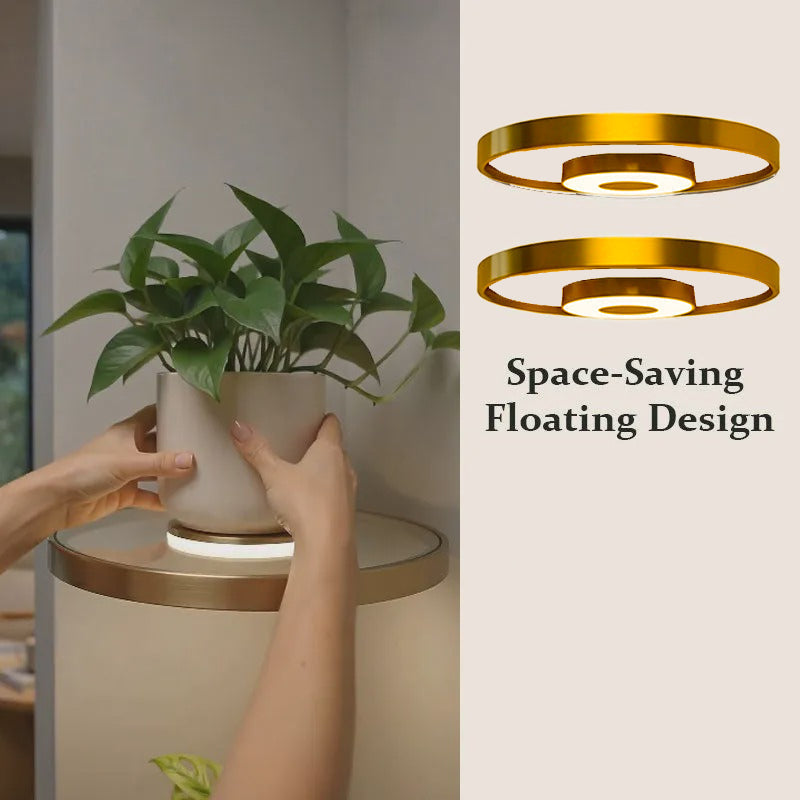 GlowingGold — LED Schwebendes Pflanzen-Wandregal | 50% RABATT