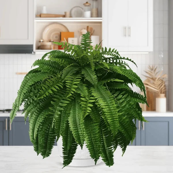 EverFern™ | Künstlicher Farn – UV-beständige Kunst-Pflanze für Innen & Außen