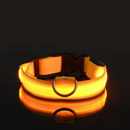 USB-aufladbares LED-Hundehalsband für Dunkelheit | GlowBuddy™