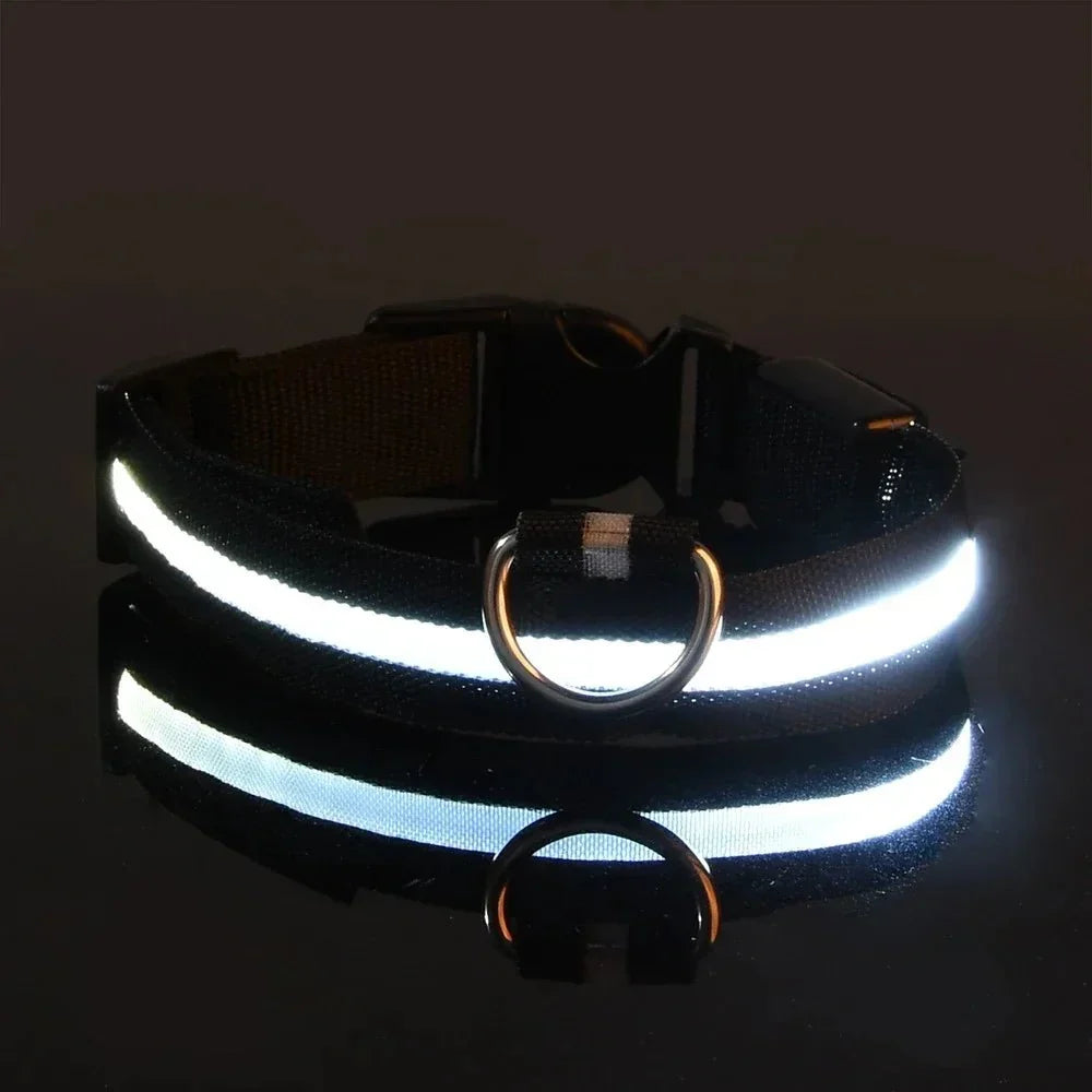 USB-aufladbares LED-Hundehalsband für Dunkelheit | GlowBuddy™