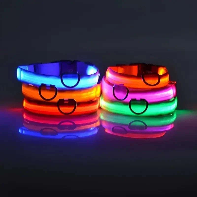 USB-aufladbares LED-Hundehalsband für Dunkelheit | GlowBuddy™