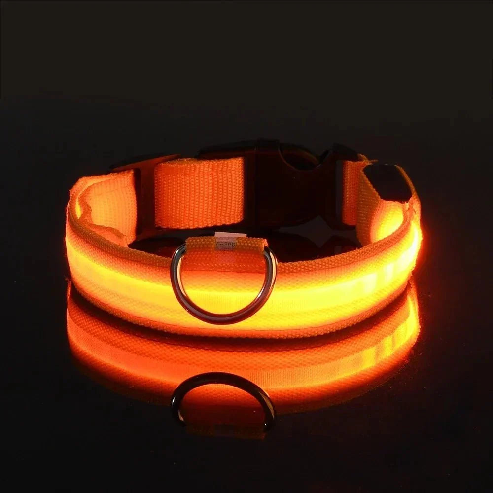 USB-aufladbares LED-Hundehalsband für Dunkelheit | GlowBuddy™
