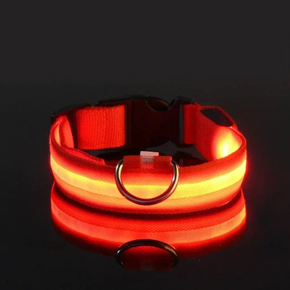 USB-aufladbares LED-Hundehalsband für Dunkelheit | GlowBuddy™