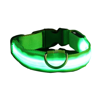 USB-aufladbares LED-Hundehalsband für Dunkelheit | GlowBuddy™